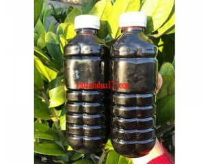NƯỚC MÀU DỪA BẾN TRE
