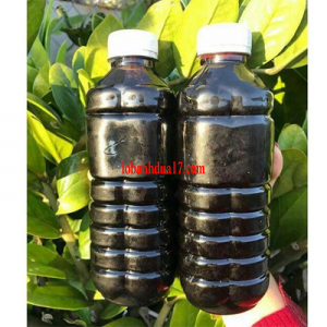 NƯỚC MÀU DỪA BẾN TRE