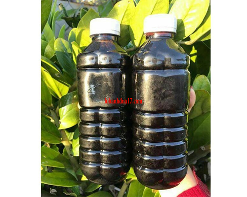 NƯỚC MÀU DỪA BẾN TRE
